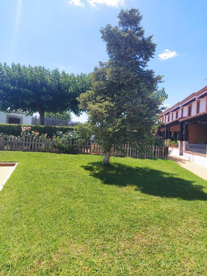 Casa Rural Alamillo Luque Exteriér fotografie