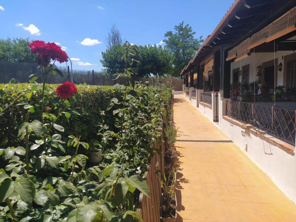 Casa Rural Alamillo Luque Exteriér fotografie
